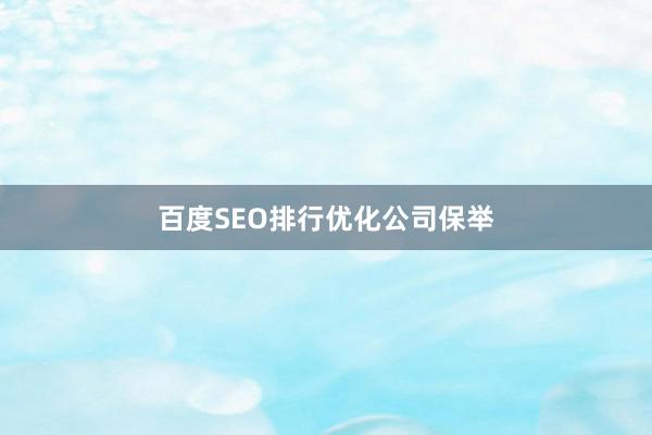 百度SEO排行优化公司保举